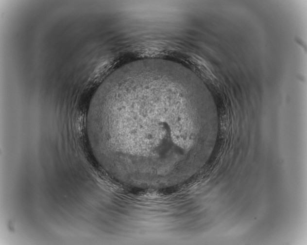 X0000098020503200804071357