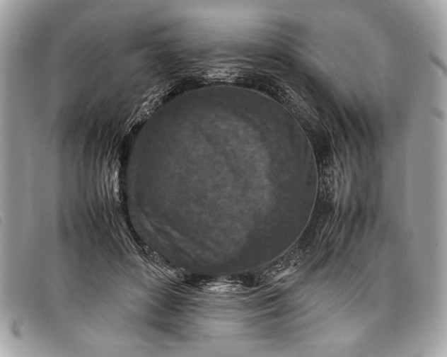 X0000098020504200804071357