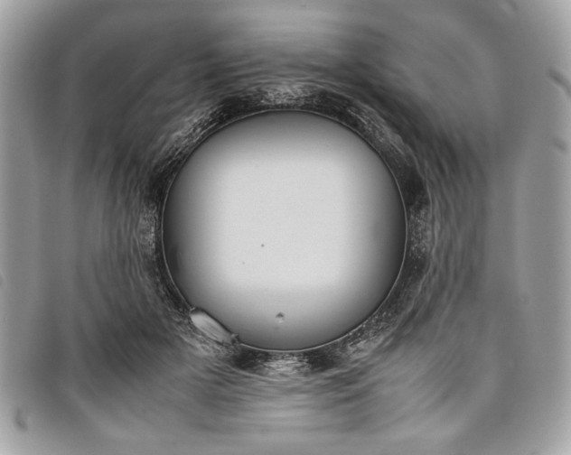 X0000098020505200804071357