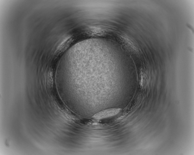 X0000098020506200804071357