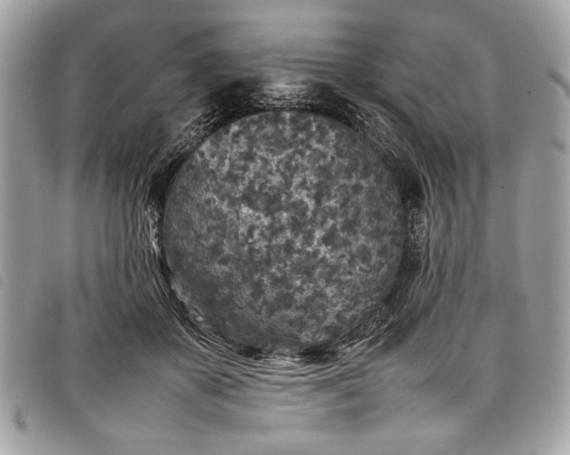 X0000098020507200804071357