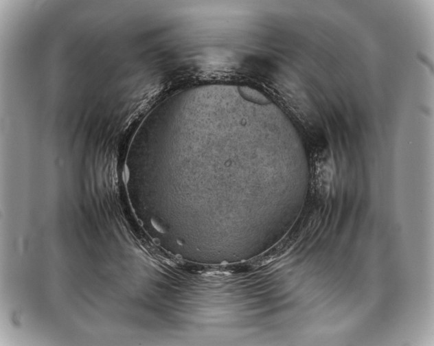 X0000098020508200804071357