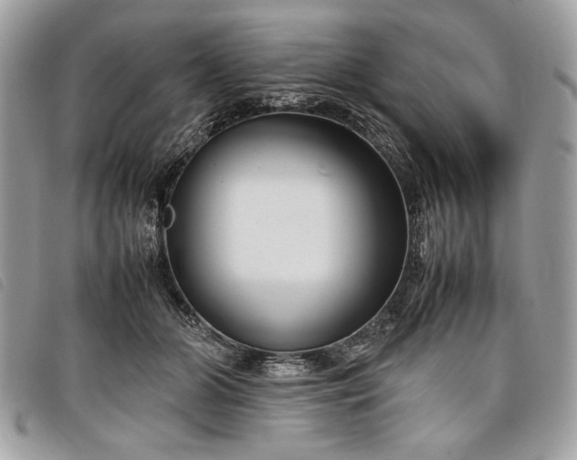 X0000098020510200804071357