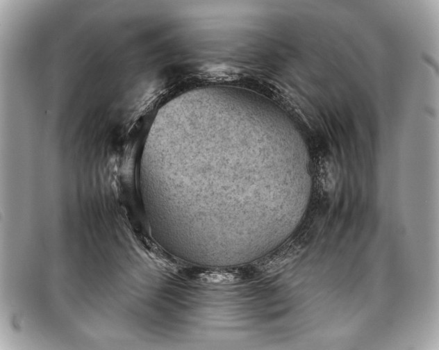 X0000098020512200804071357