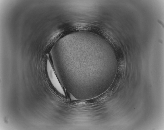 X0000098020513200804071357