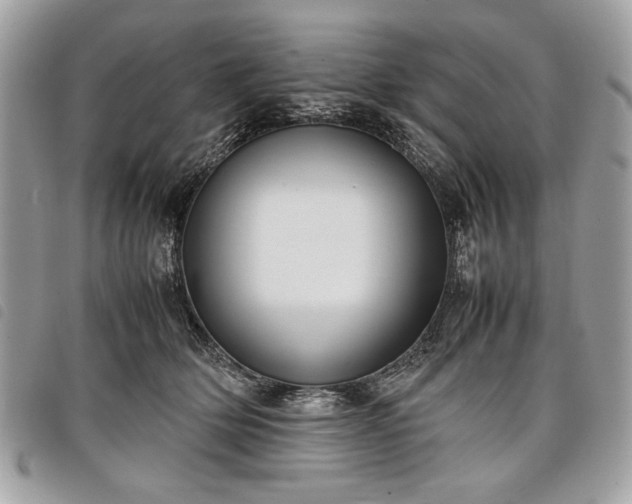 X0000098020514200804071357