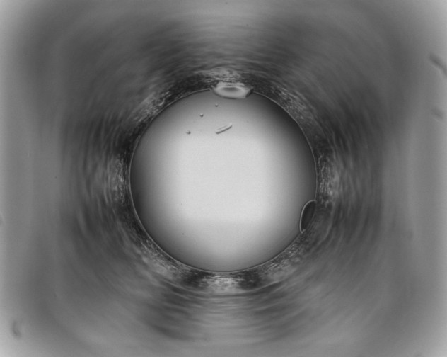 X0000098020518200804071357