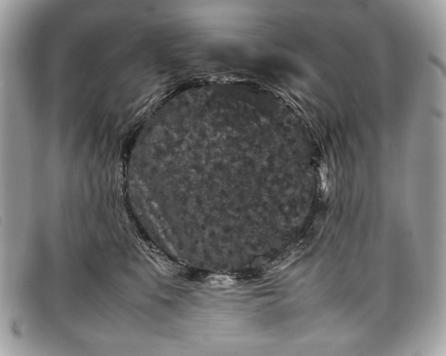 X0000098020519200804071357