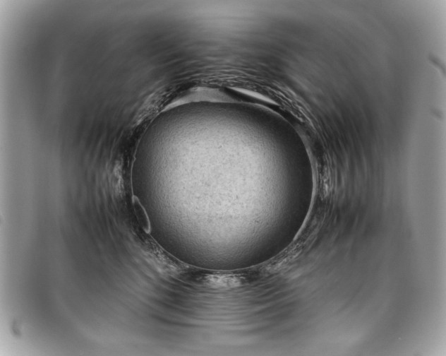 X0000098020520200804071357