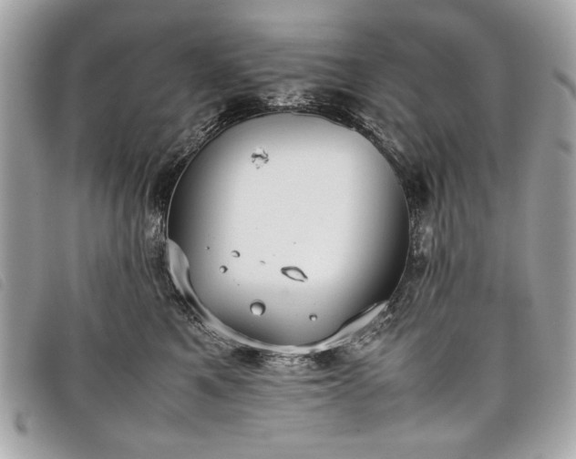 X0000098020521200804071357