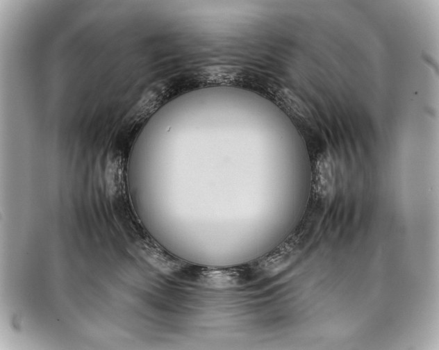 X0000098020522200804071357