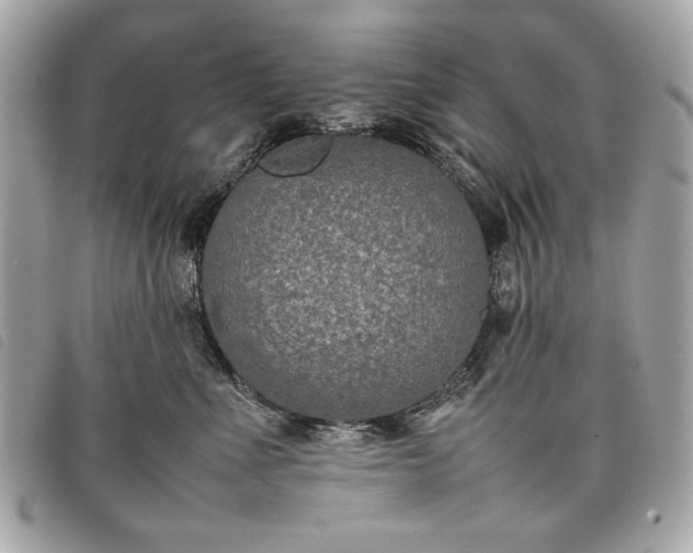 X0000098020523200804071357