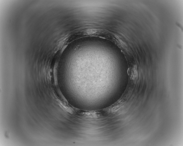 X0000098020524200804071357