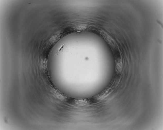 X0000098020525200804071357