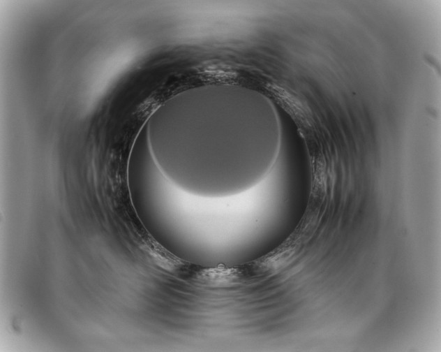 X0000098020526200804071357