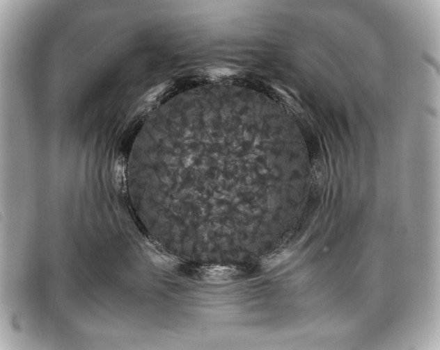 X0000098020527200804071357