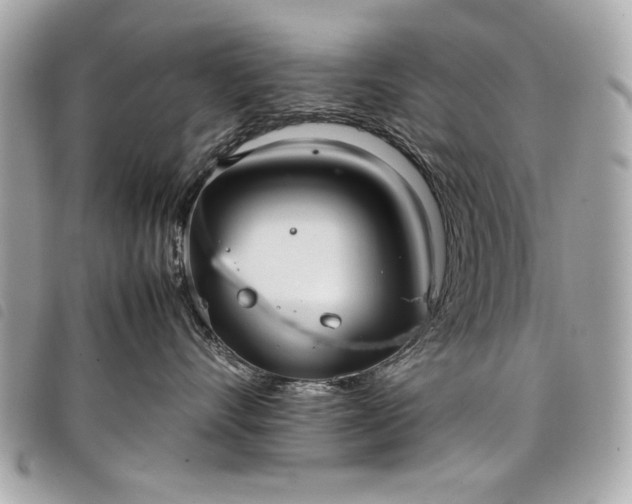 X0000098020528200804071357