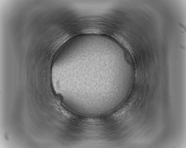 X0000098020529200804071356