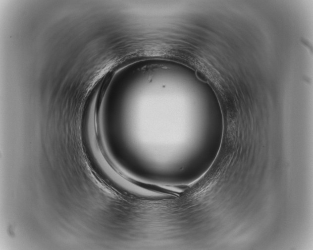 X0000098020530200804071356