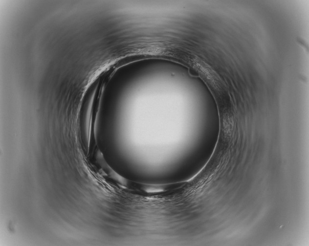 X0000098020532200804071356