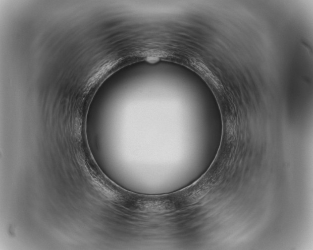 X0000098020533200804071356