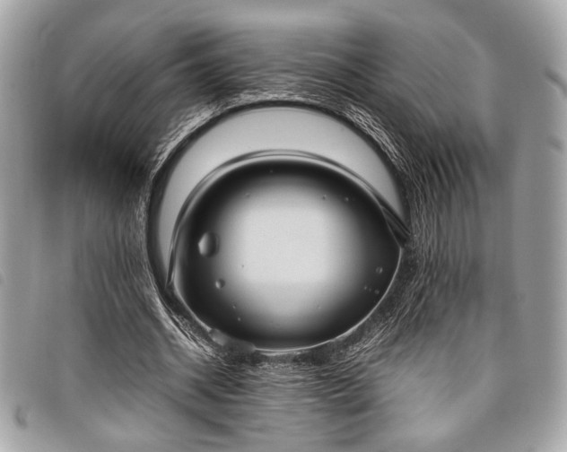 X0000098020534200804071356