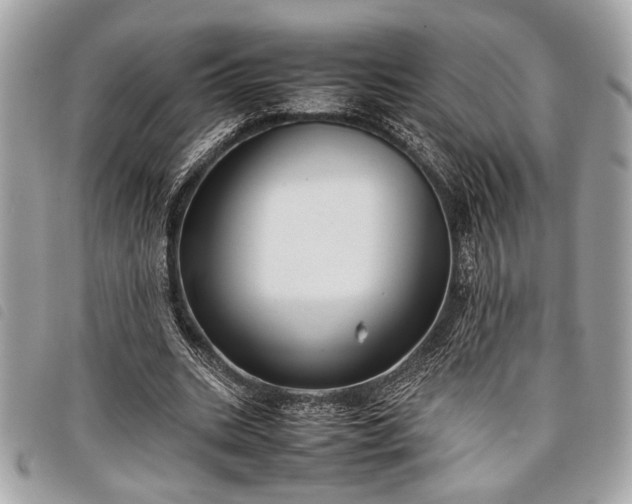 X0000098020535200804071356