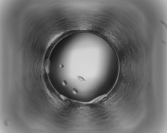 X0000098020536200804071356