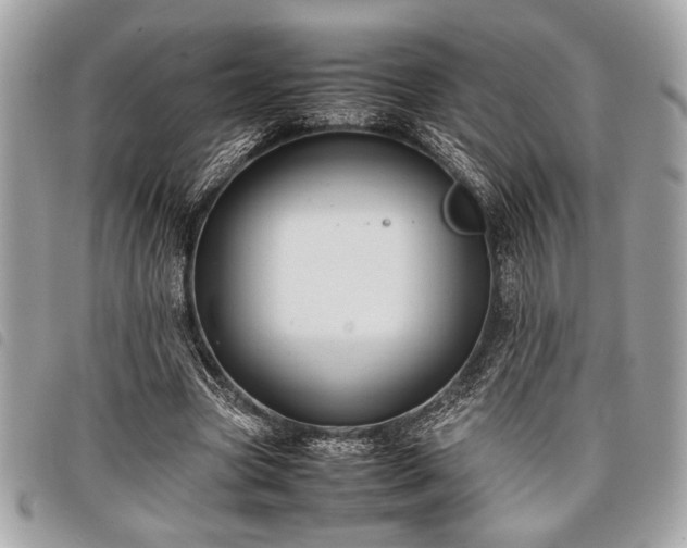 X0000098020537200804071356