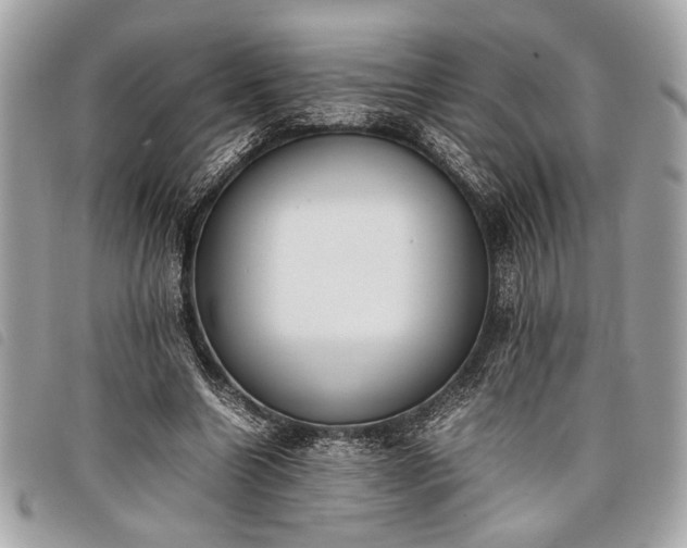 X0000098020538200804071356