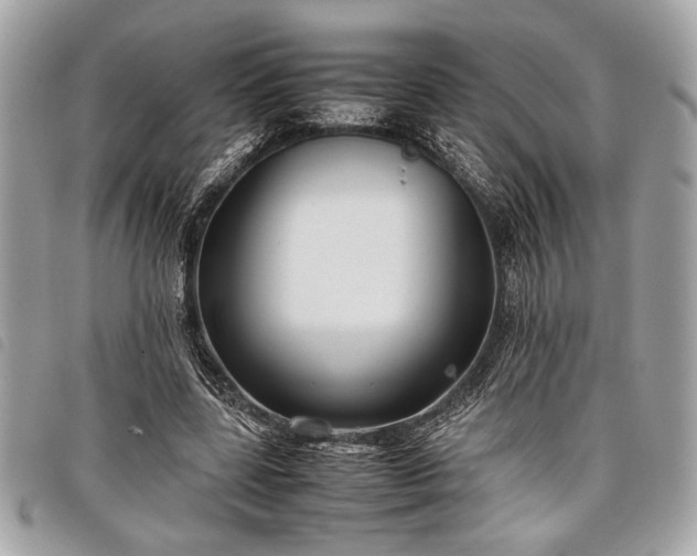 X0000098020539200804071356