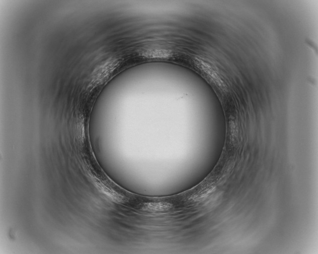 X0000098020541200804071356