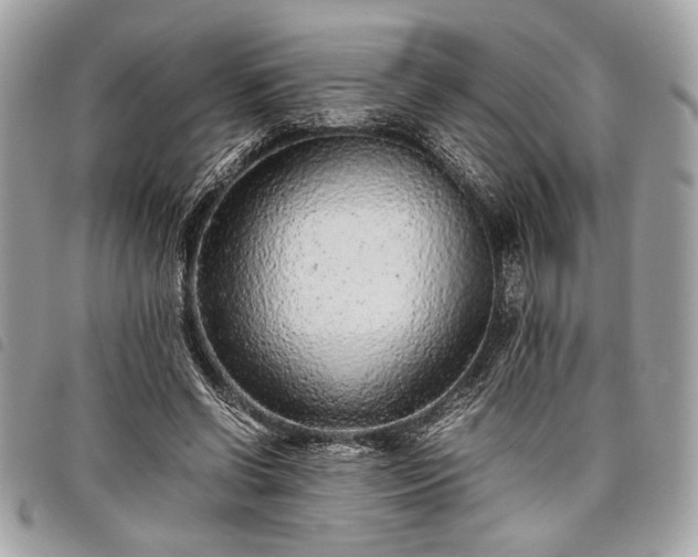 X0000098020542200804071356