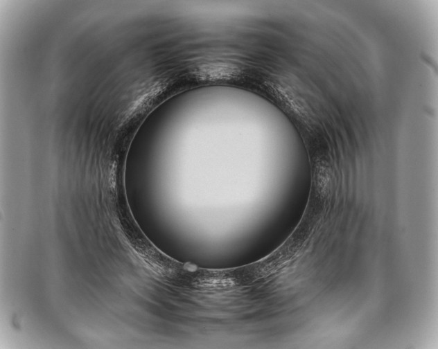 X0000098020543200804071356