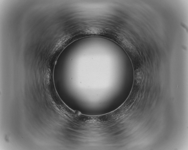 X0000098020544200804071356