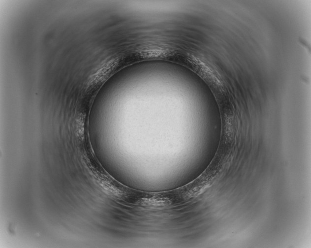 X0000098020545200804071356