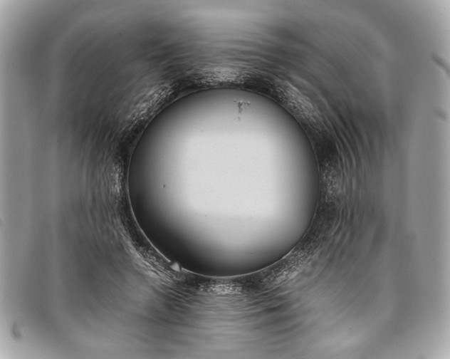 X0000098020546200804071356