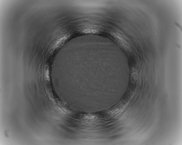 X0000098020547200804071356