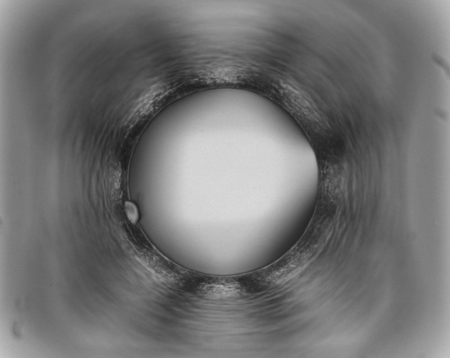 X0000098020548200804071356