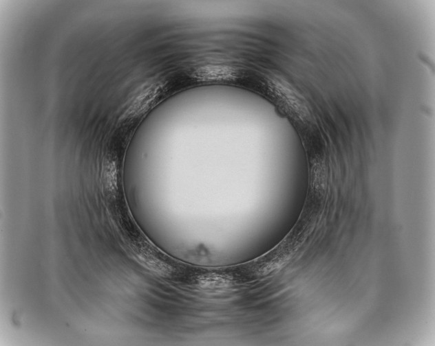 X0000098020549200804071356