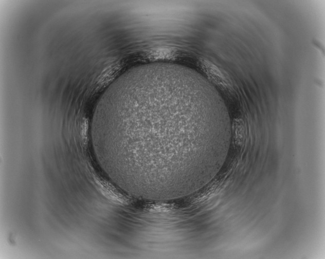 X0000098020550200804071356