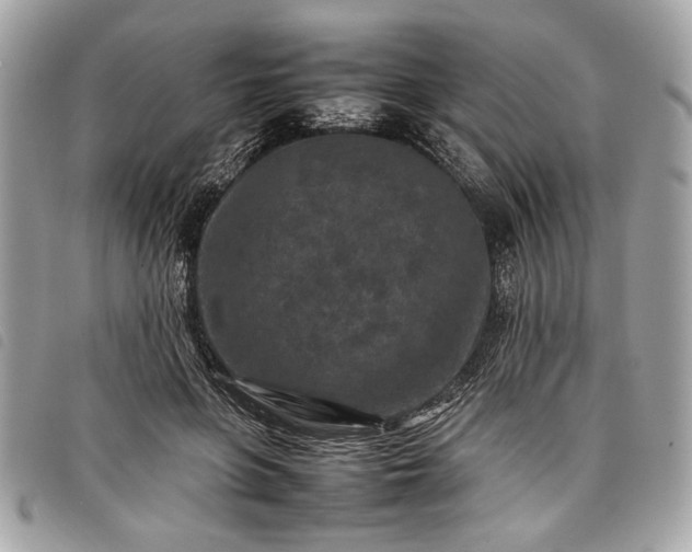 X0000098020551200804071356