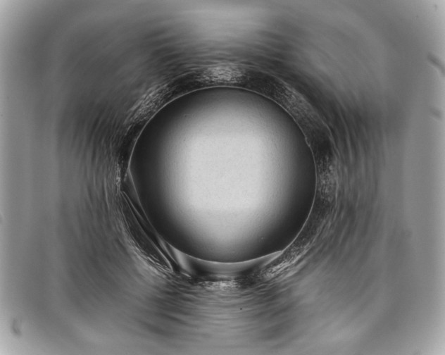 X0000098020552200804071356