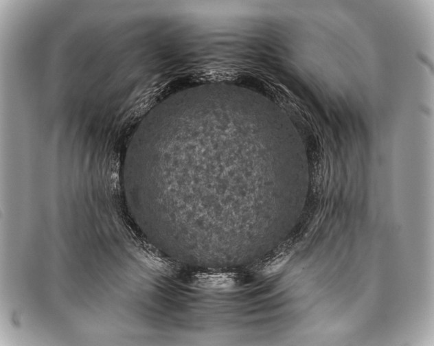 X0000098020553200804071356