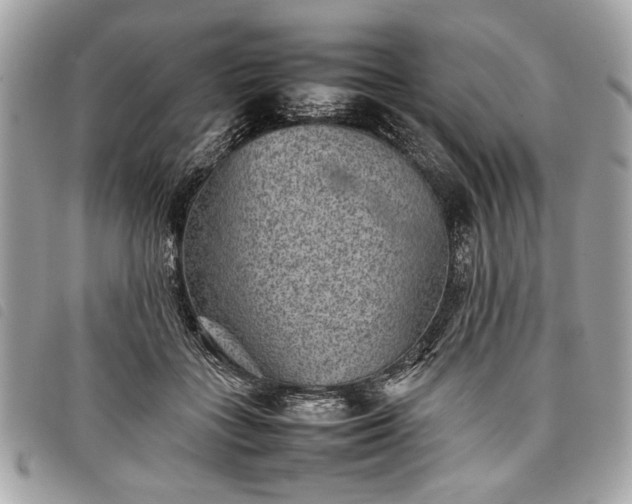 X0000098020555200804071356