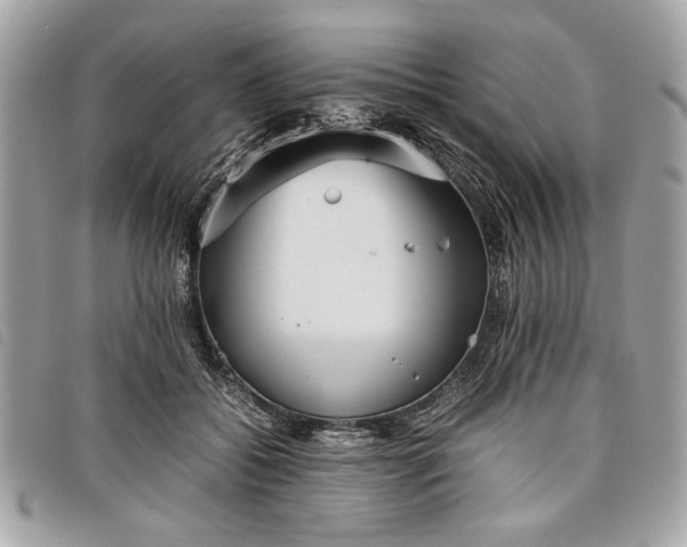 X0000098020556200804071356