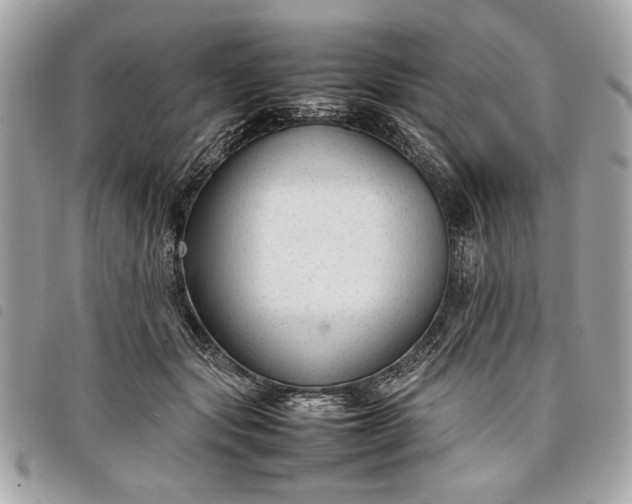 X0000098020557200804071356