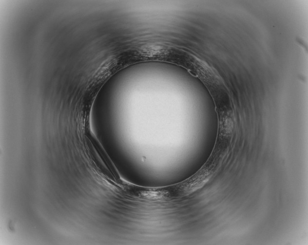 X0000098020558200804071356