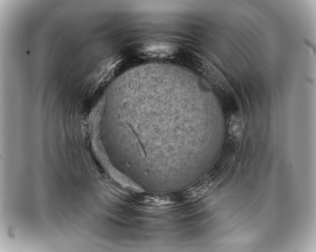 X0000098020559200804071356