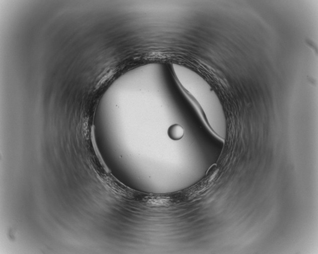 X0000098020560200804071356